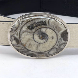 Ammonite Belt